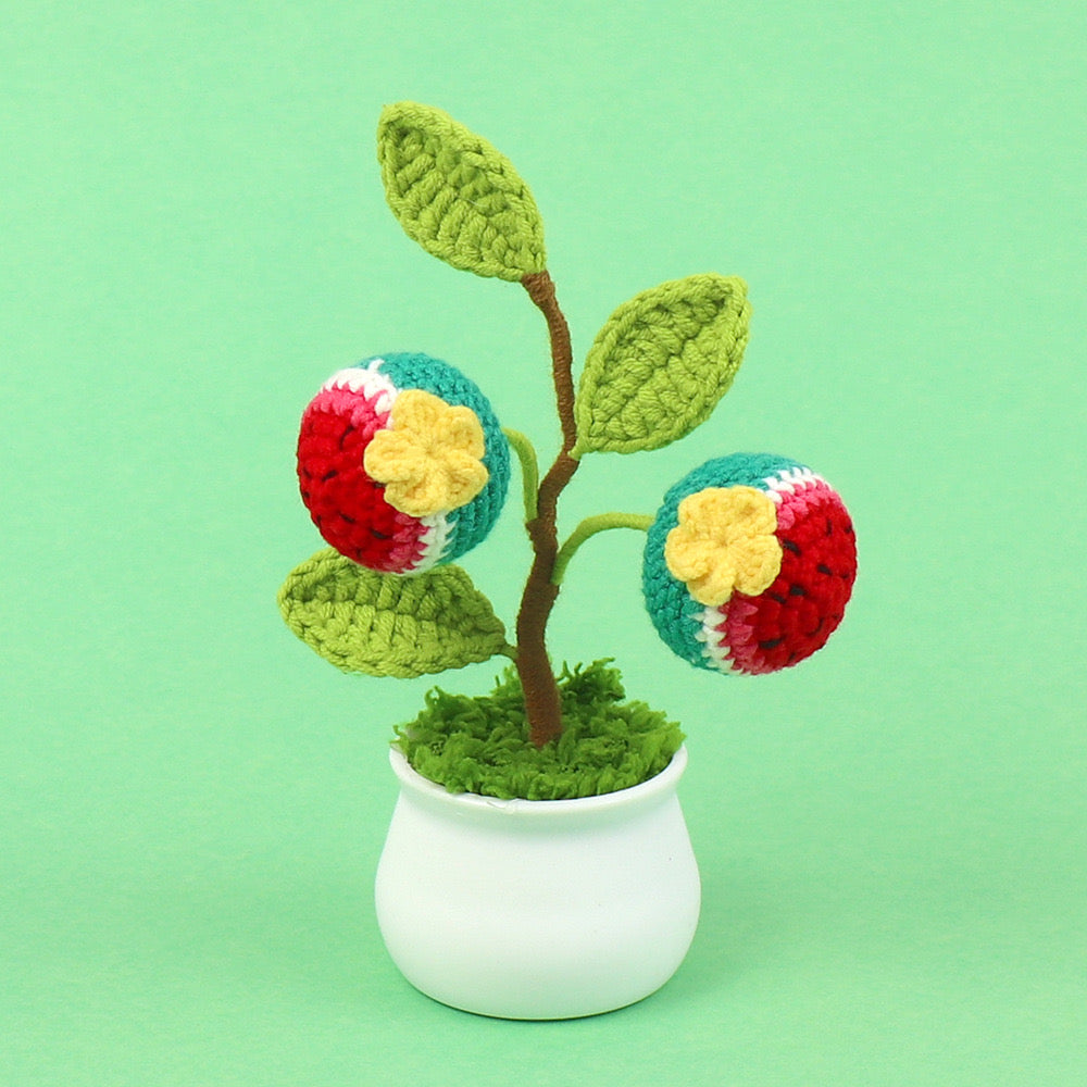 Fruit Pot plant