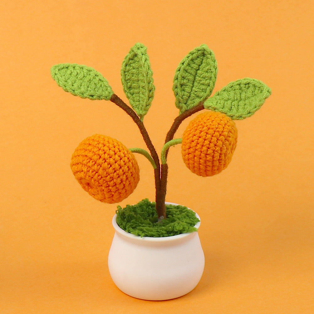 Fruit Pot plant