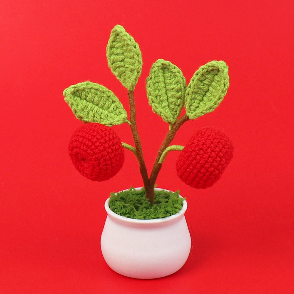 Fruit Pot plant