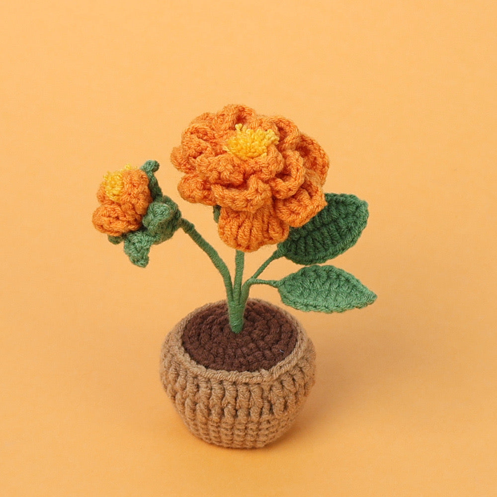 Flowers with yarn pot