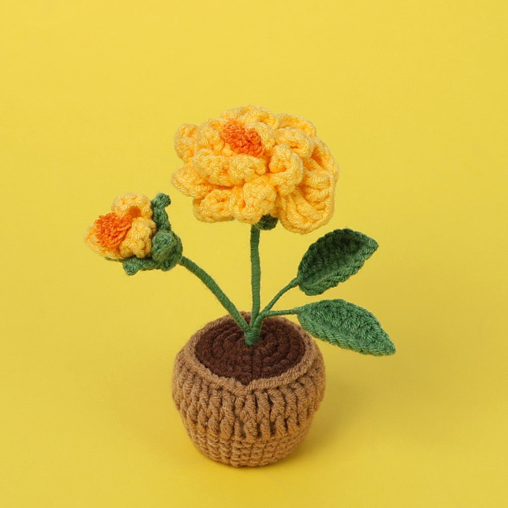 Flowers with yarn pot