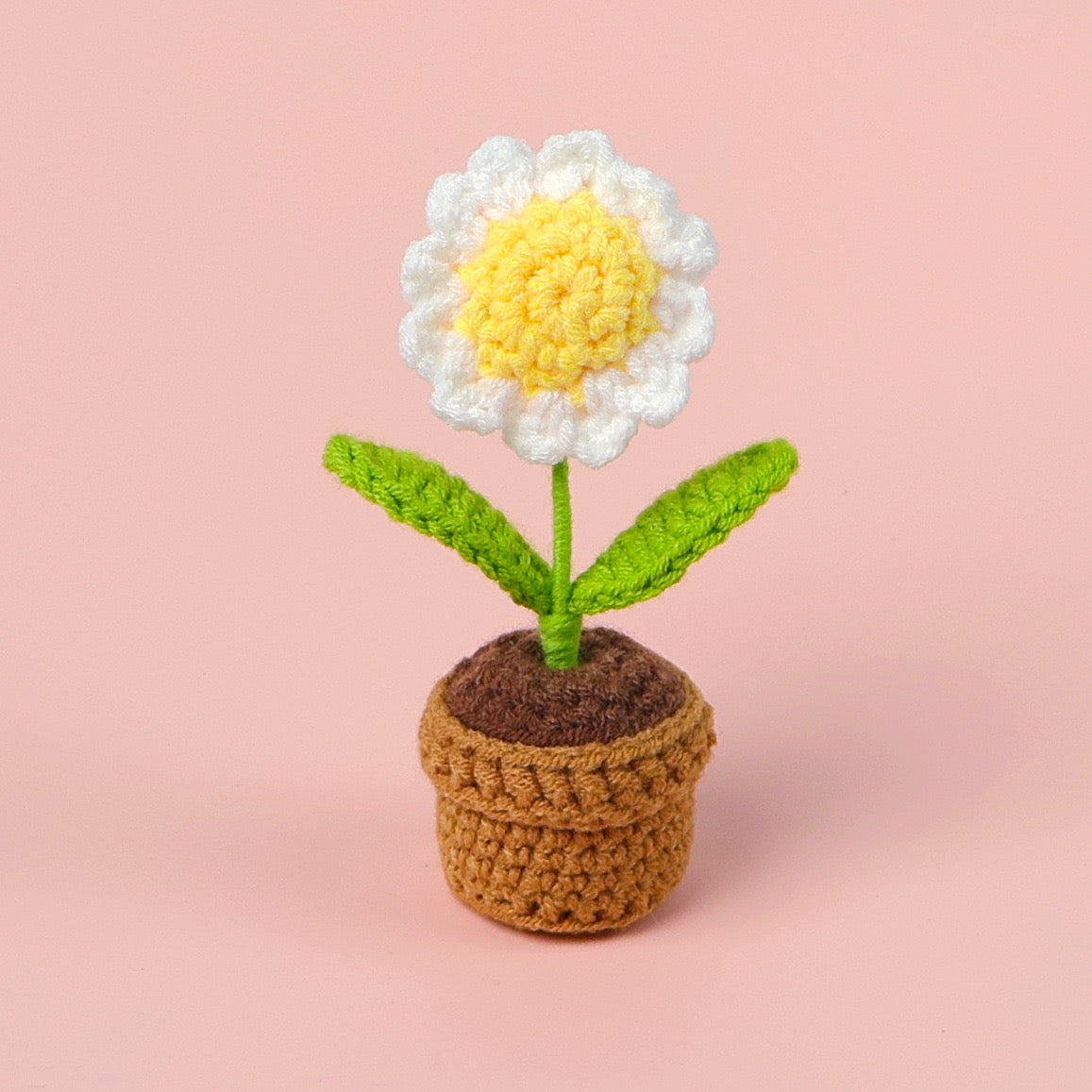 Flowers with yarn pot