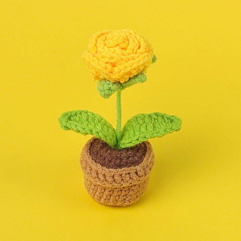 Flowers with yarn pot