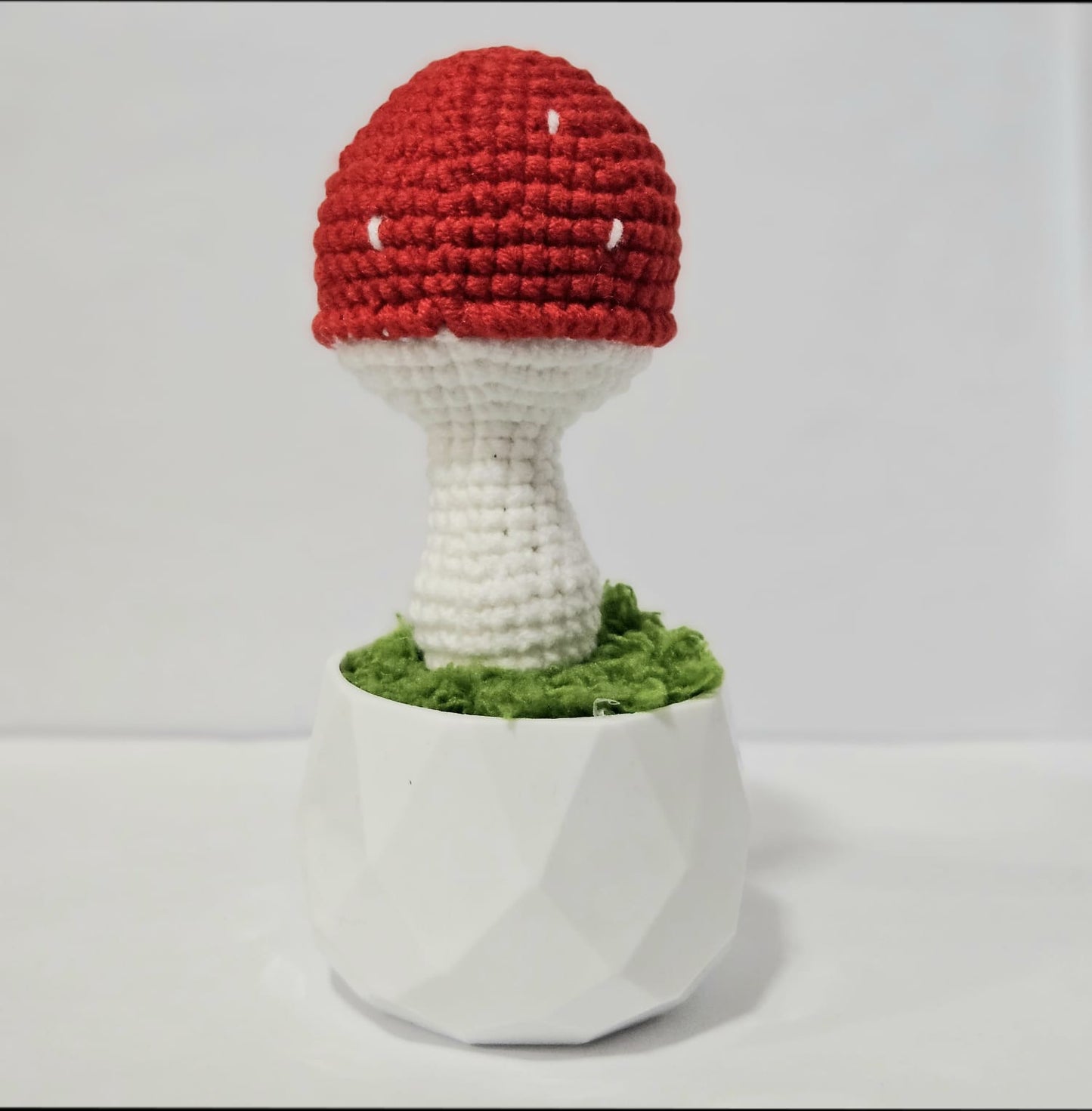 Mushroom Pot Plant